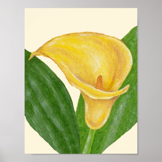 Calla Lily art impressão (Frente)