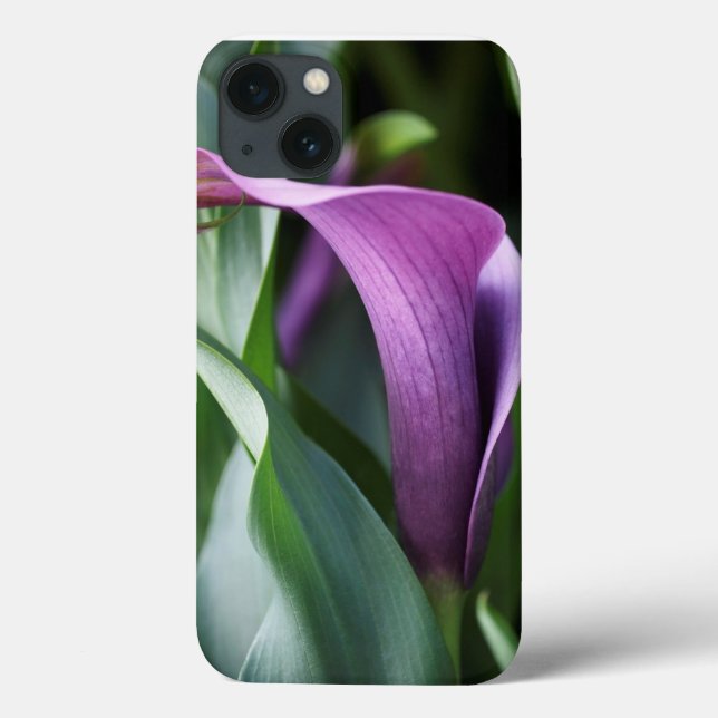 Calla Lily em Bambre Roxo (Verso)