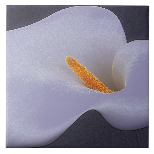 Calla Lily Illustra Azulejos de cerâmica coletiva (Frente)