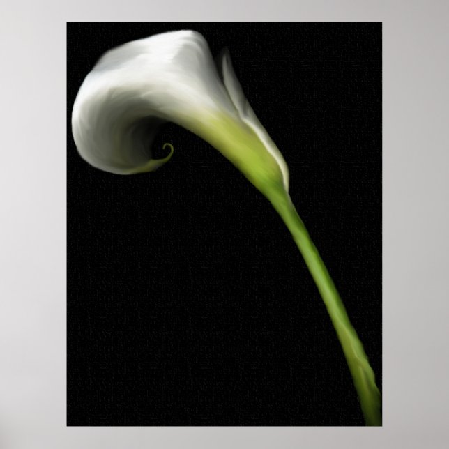 Calla Lily Impressões (Frente)