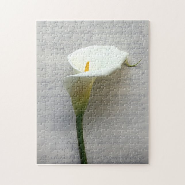 calla lily na quebra-cabeça de escrita antiga (Vertical)