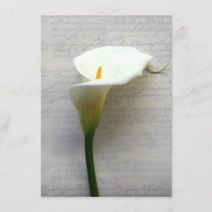 calla Lily no convite para escrita manual