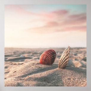 Calm Sand Beach Sea Shell Ocean Fotografia Poster