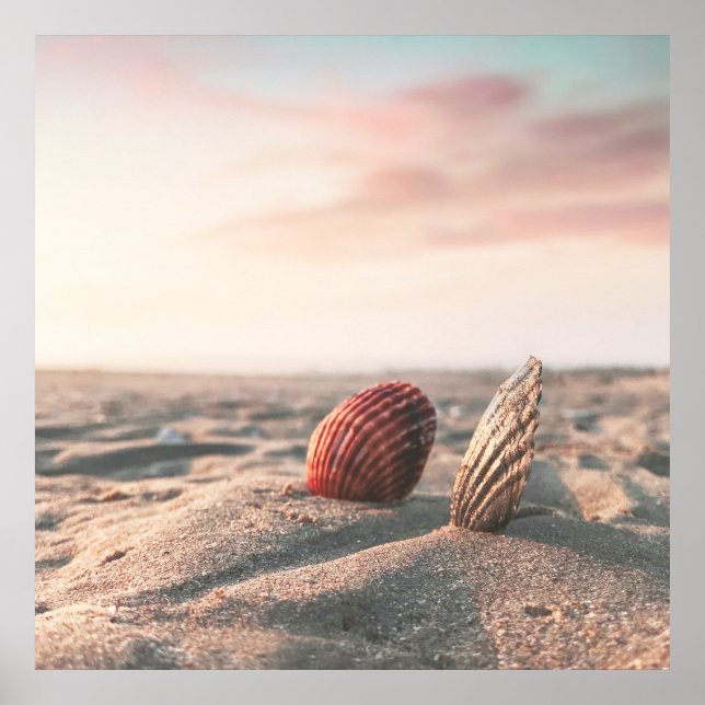 Calm Sand Beach Sea Shell Ocean Fotografia Poster (Frente)