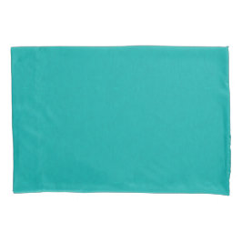 Calm & simple  Turquoise textured background 