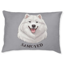 Cachorro Samoyed Samoyed Bonito