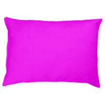 Cão Magenta Rosa Moderno, Cão Sólido, Cão
