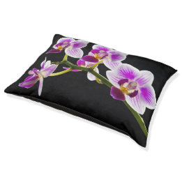 Cama Para Animais De Estimação Orquídea branca e roxa