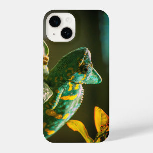 camaleão, verde, exótico