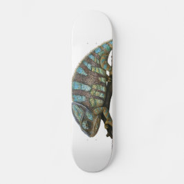 Camaleón Skate