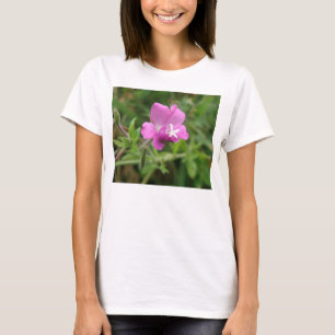 Camarão Vermelho Flagrante Damas T Camisa