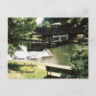 Came do rio, cartão de Cambridge