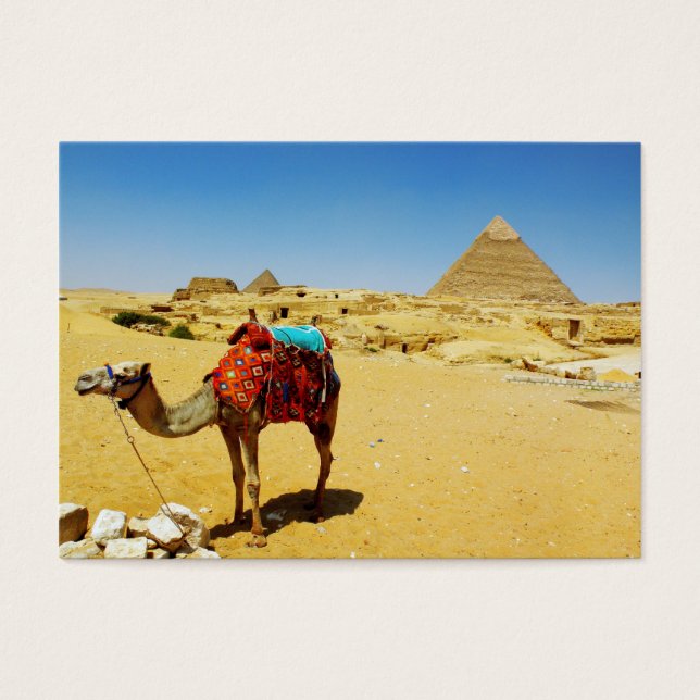 Camel (Frente)