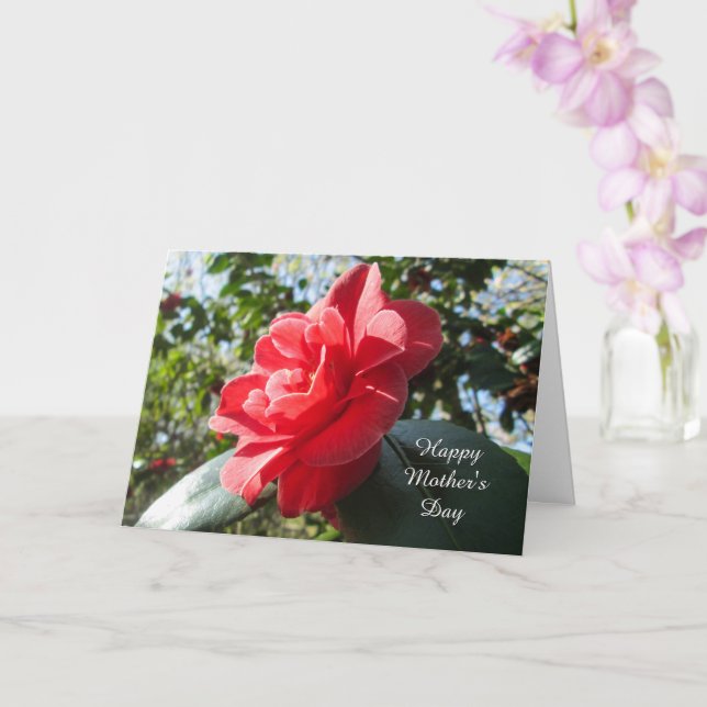 Camélia Vermelha Radiante - Cartão Personalizado p (Orquídea)