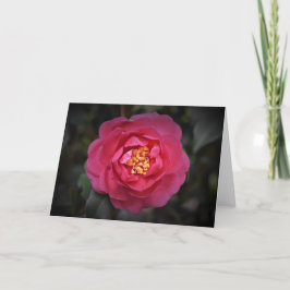 Camellia, cartão