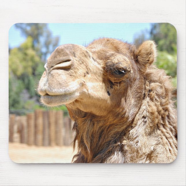 Camelo Mousepad (Frente)