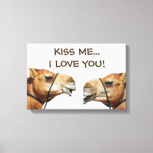 Camelos Beijando Canvas Engraçada