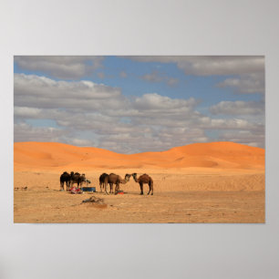 Camelos no poster do deserto de Sahara