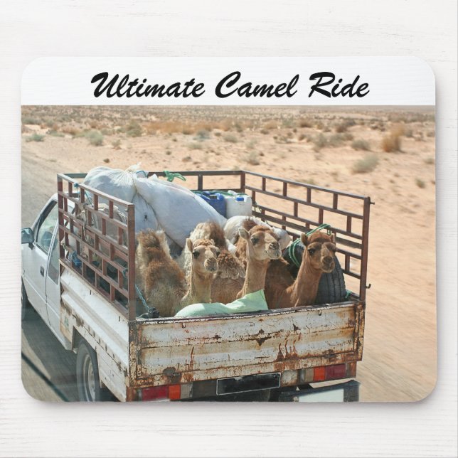 Camelos que disparam na brisa no Sahara Mousepad (Frente)