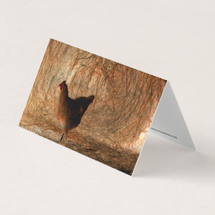 "Caminhando" - Galinha de Fotos Digitalmente Aprim