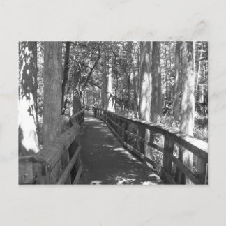 Caminhar para lembrar do Cartão Postal