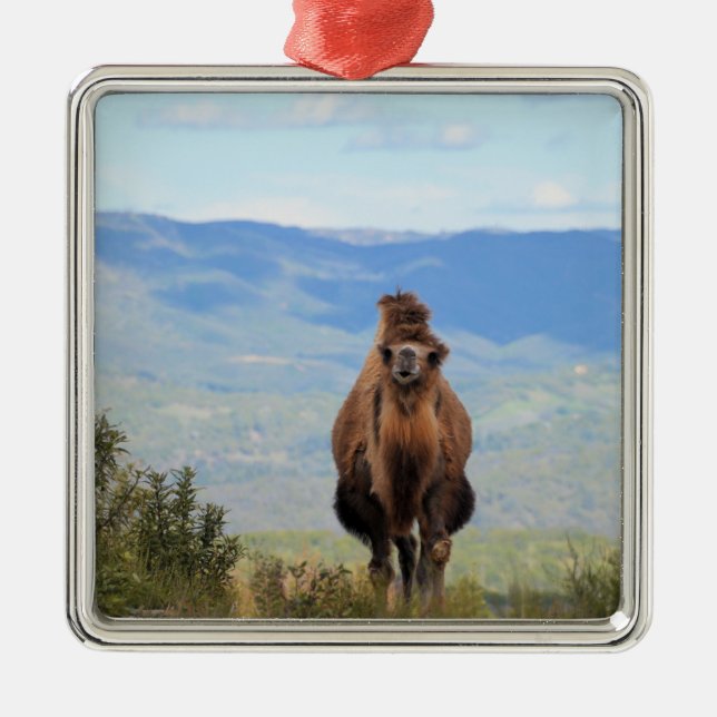 Caminhe com o ornamento cerâmico de Muffin (Frente)