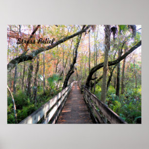 Caminhe na Poster de Woods