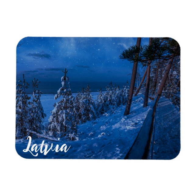 Caminho da floresta no íman da noite de inverno (Horizontal)