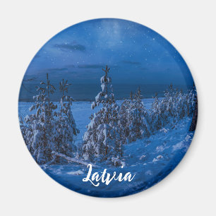 Caminho da floresta no íman da noite de inverno