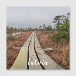 Caminho de caminhada em íman para pântanos