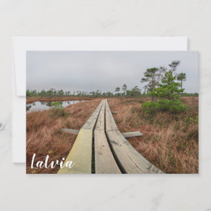 Caminho de caminhada em pântano