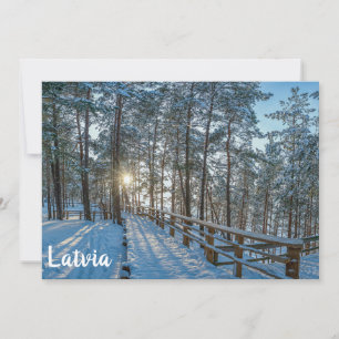 Caminho de madeira através da floresta de inverno 