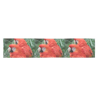 Caminho De Mesa Pequeno Escarlate do Macaw
