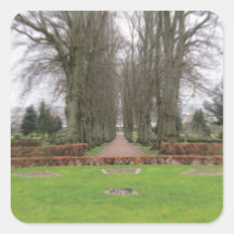 Caminho do adesivo na Dinamarca