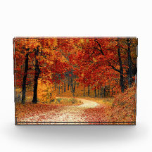 Caminho do outono através das árvores