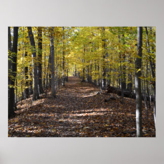 CAMINHO DO OUTONO. POSTER