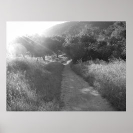 Caminho para a Poster de luz