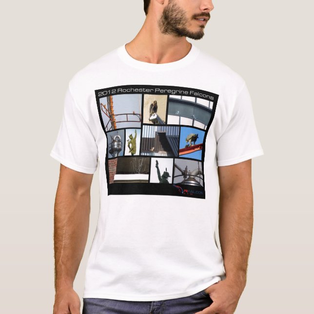 Camisa 2012 masculina do falcão de peregrino T de (Frente)