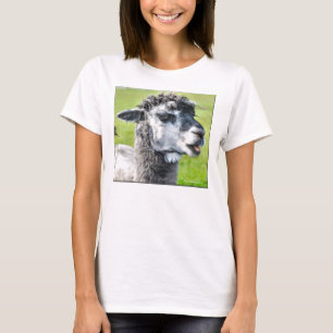 Camisa bonito das senhoras T