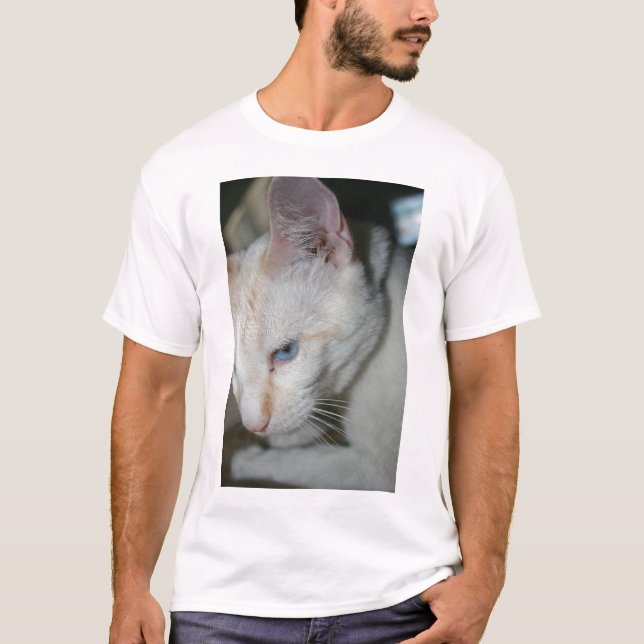Camisa branca do gato (Frente)