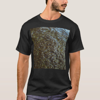 Camisa Clássica Avocado