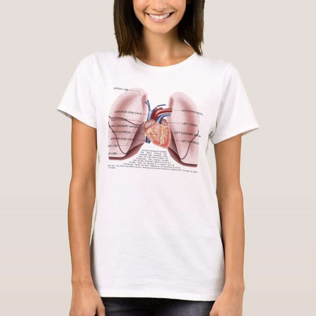 Camisa da boneca das senhoras da anatomia da caixa (Frente)