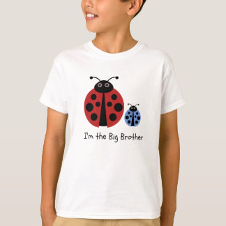 Camisa da joaninha do big brother