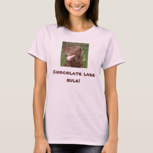 . Camisa da regra do laboratório do chocolate