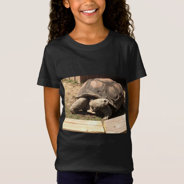 camisa da tartaruga (Frente)