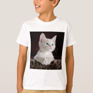 camisa de aparência de gato