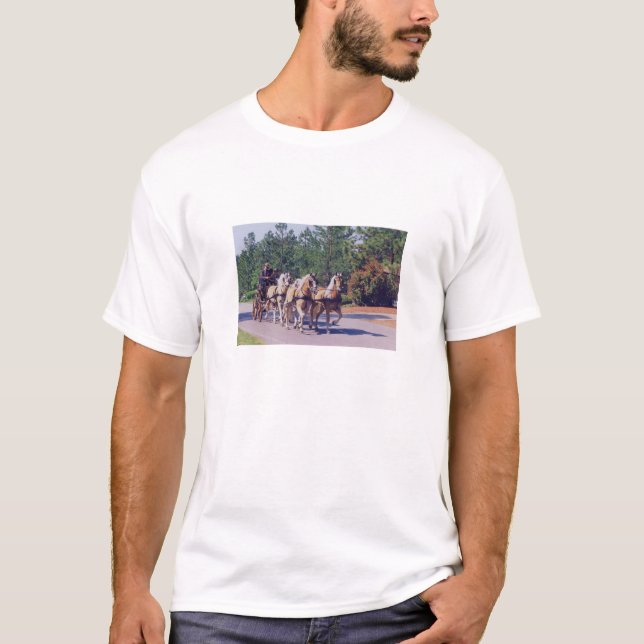 CAMISA DE CARRUAGEM DA CAROLINA (Frente)