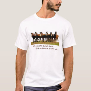 Camisa de Clydesdales