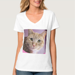 Camisa de gato