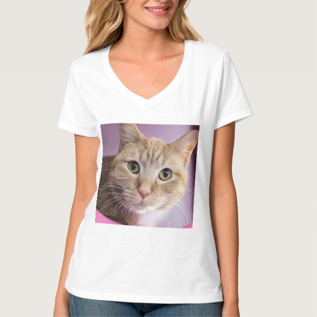 Camisa de gato (Frente)